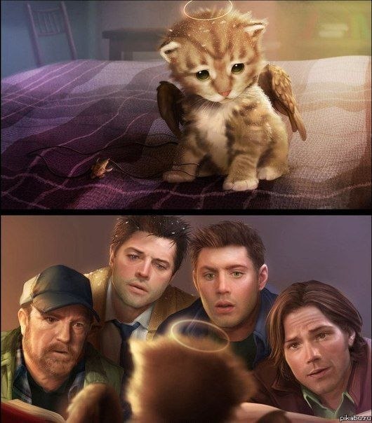 Вот такой прелестный арт :3