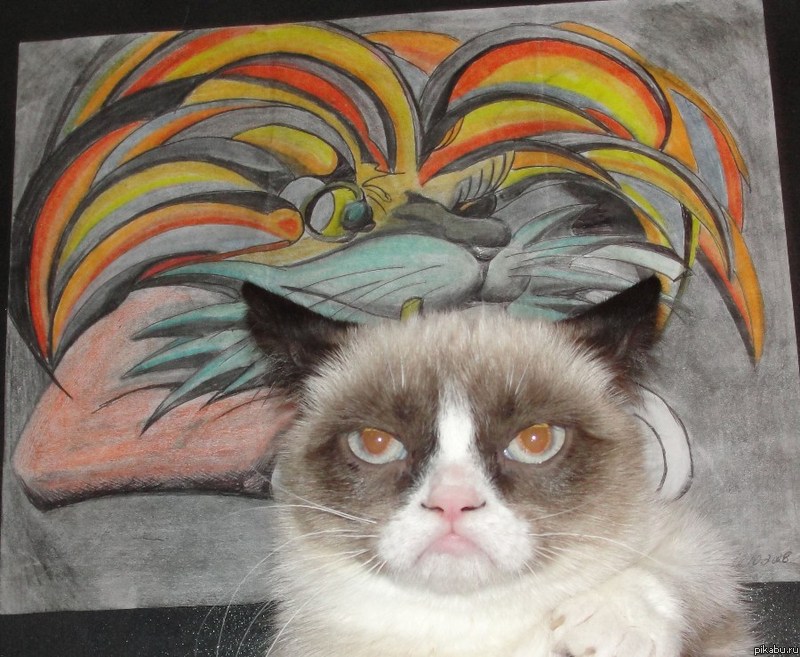 ��� ��������� ��������� ������������ ����(��������� � ������������)