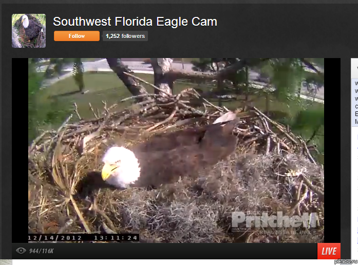 Новое-хорошо забытое старое