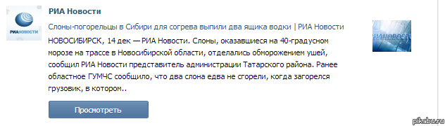 да что там медведи ,у нас уже слоны водку пьют!