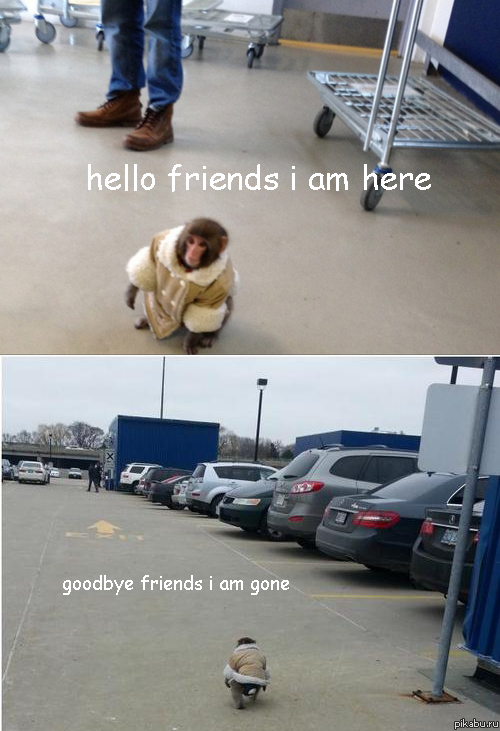 hello and goodbye
