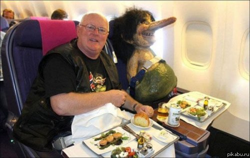 Улыбчивая спутница