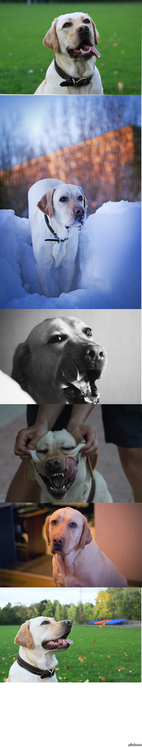 Sand Grand Arkos Nikoletta (   )