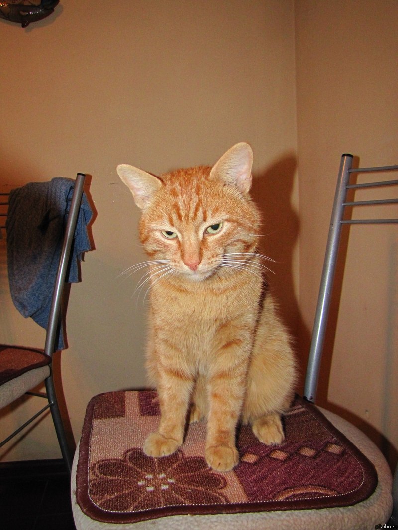 Он мне никогда не доверяет