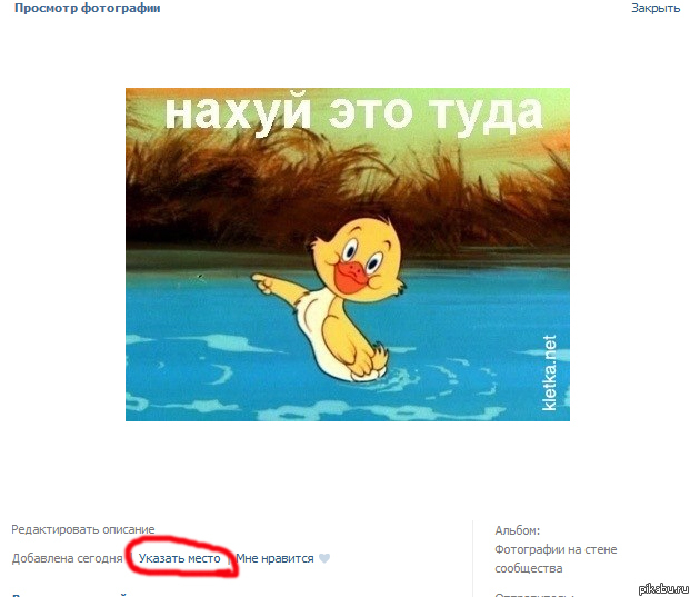 WEB 3.0, x���...)))