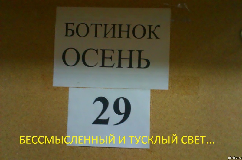 ������� ����� 29