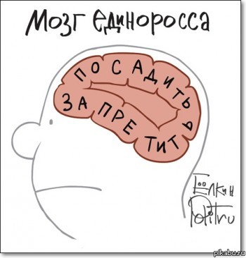 Мозг единоросса