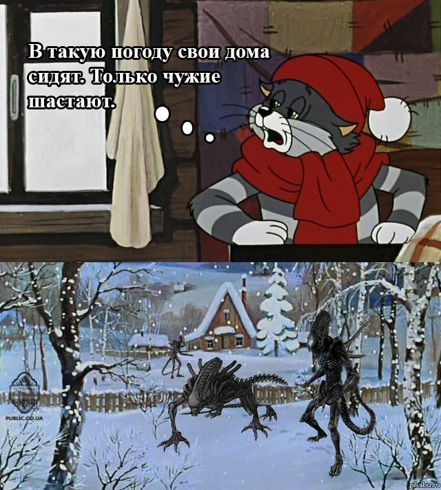 ���� ���� �����
