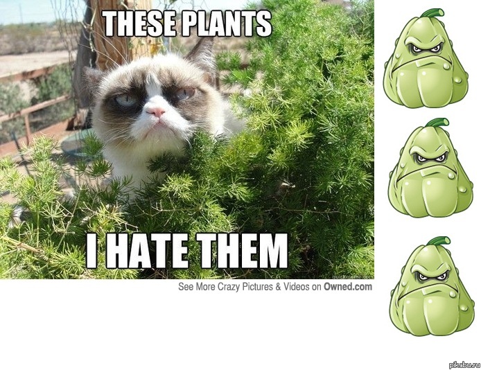 ��� �������, ��� ��� ������� ������?:)