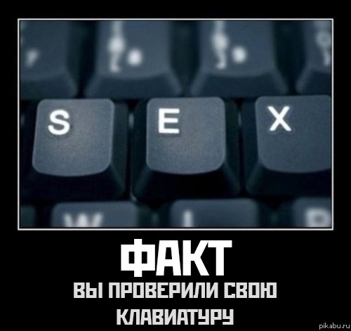 s.e.x. 