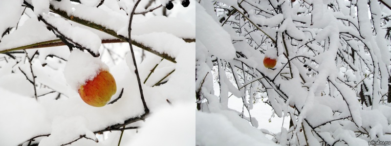 �����������, ��� ���� ������� ����� ����� ��������)))