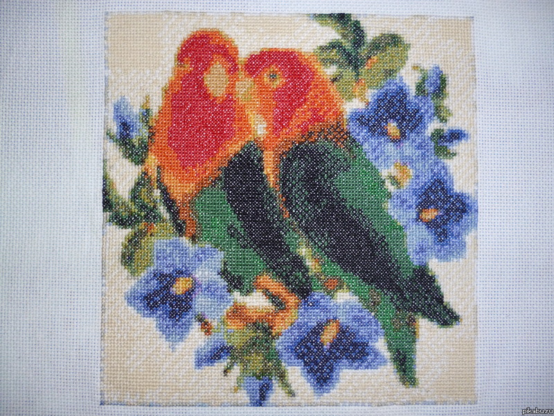 ������������ :)