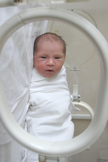 �������� �����