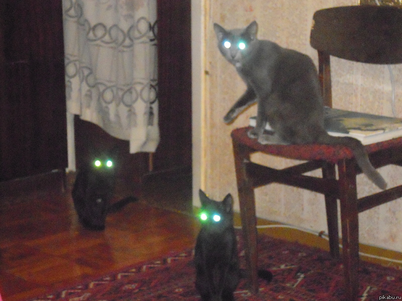 Загрузка из космоса выполнена на 100%.