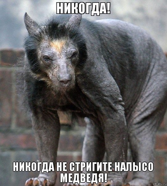 Даже не вздумайте!