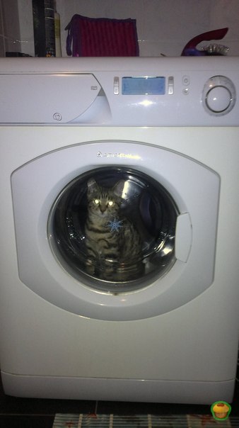 ���� ������...)