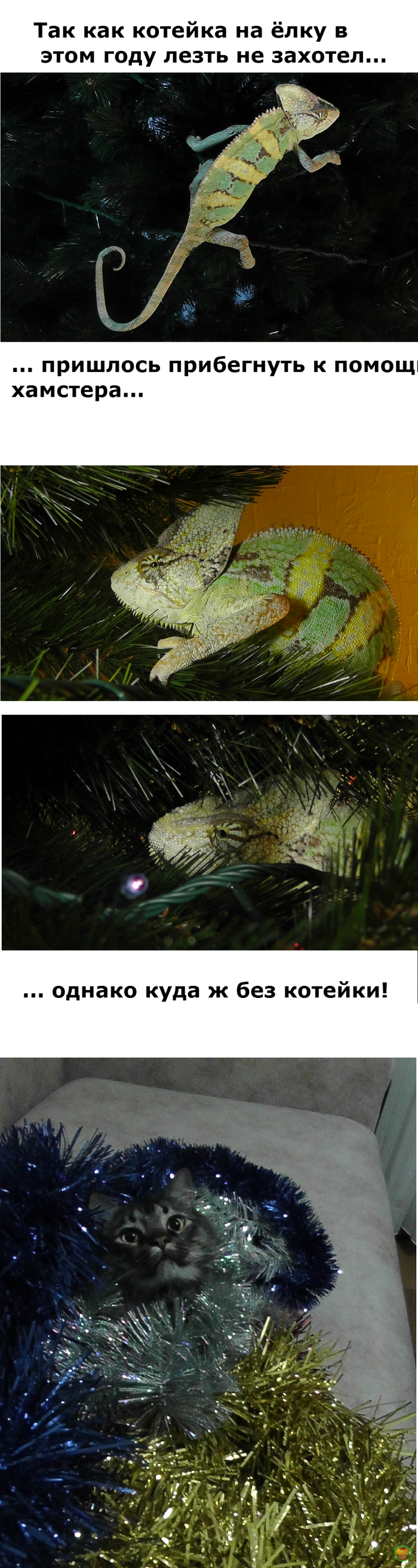           ,  -     ... // - !
