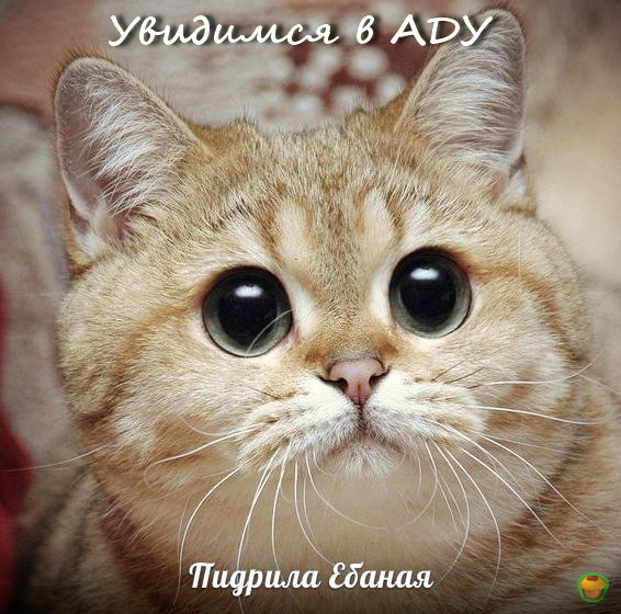 картинки когда увидимся онлайн картинки когда увидимся