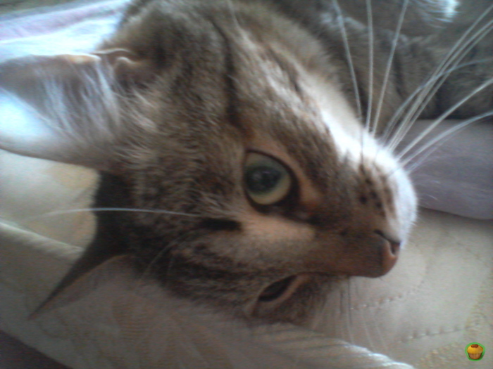 �� ������?