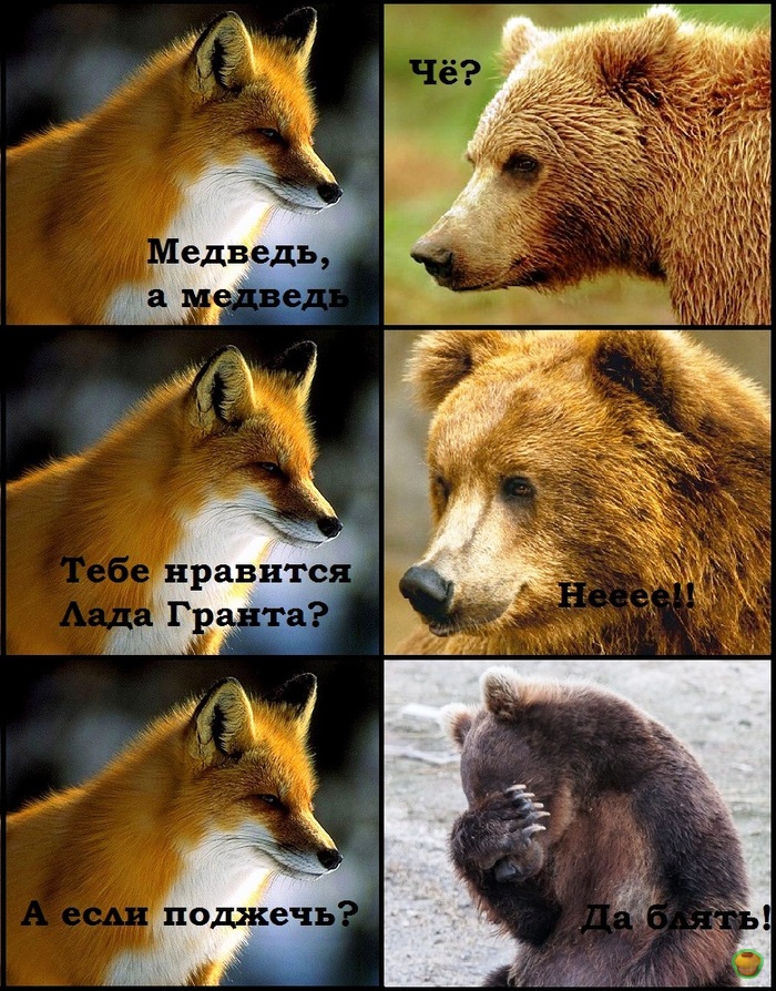 Три аккорда на баяне)