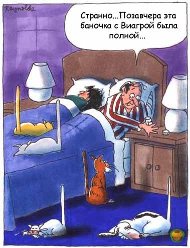 ...      ... 