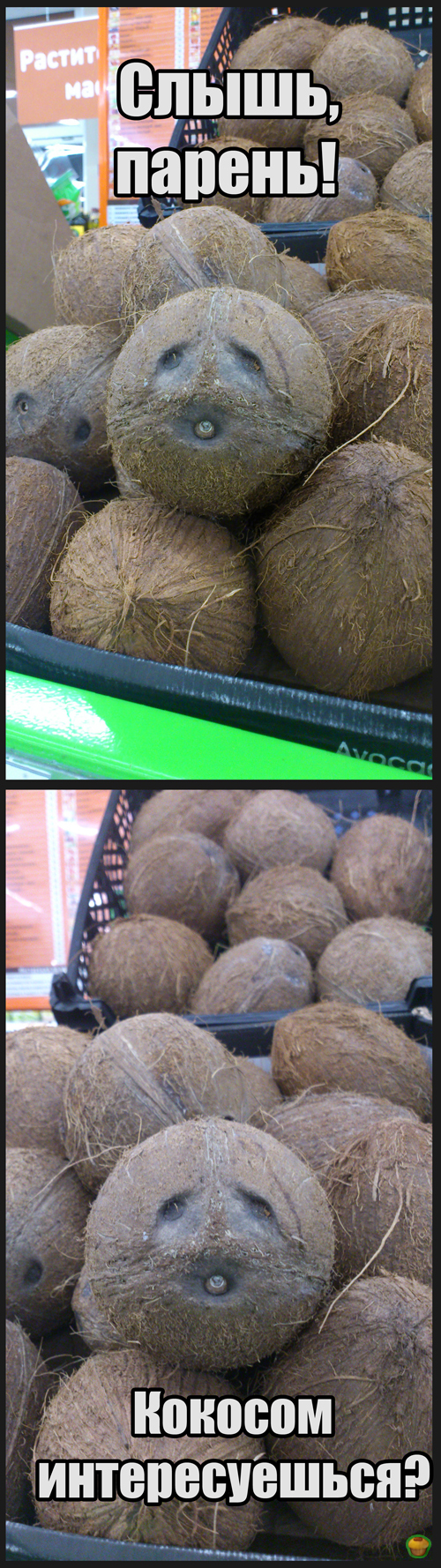 Из магазина :)