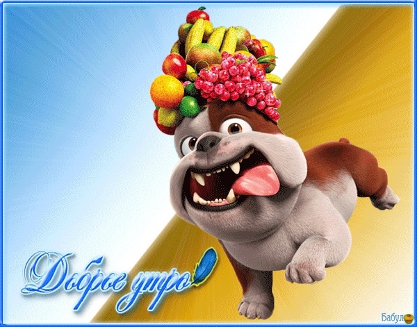 �����������! ���� ������ ����!!!