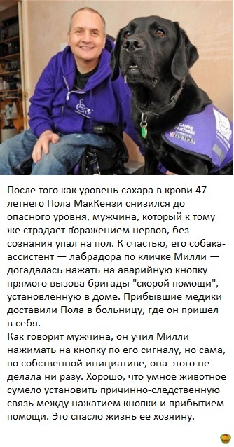 ��������������������������