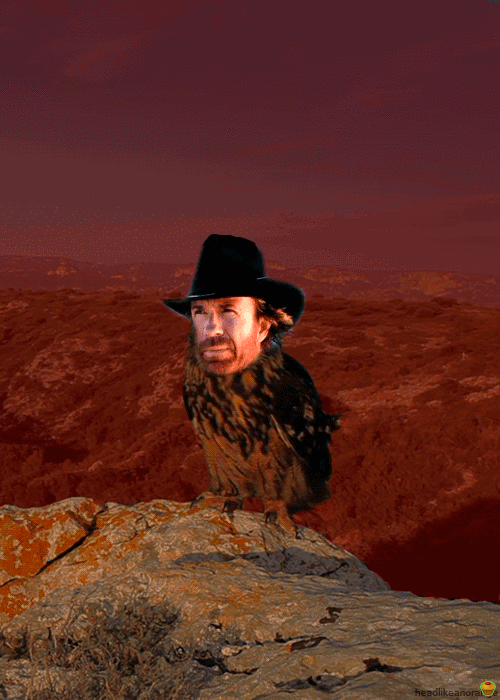 Чак после конца света