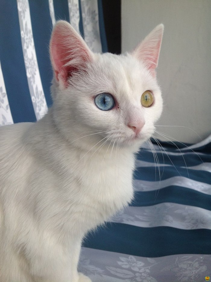������� =^_^=