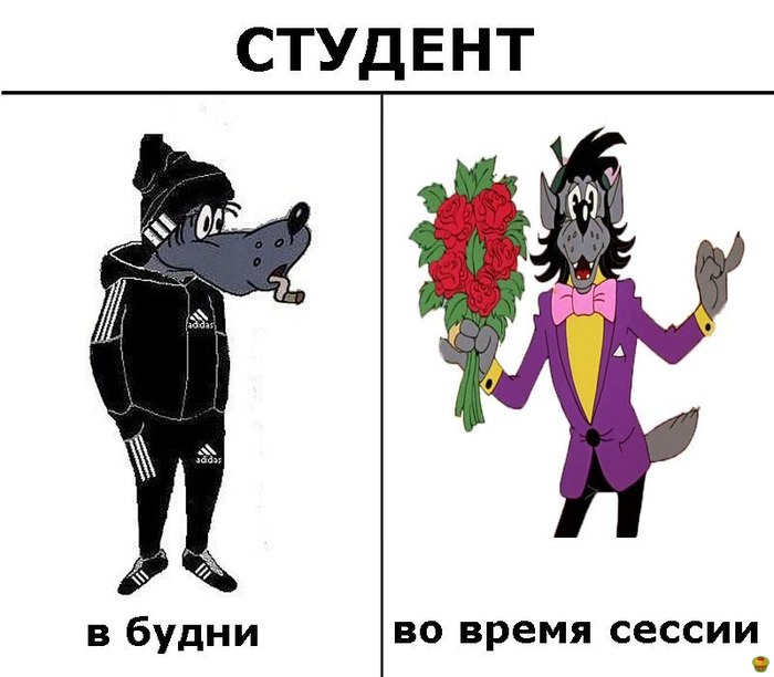 Студент прикол картинки, романтических пар