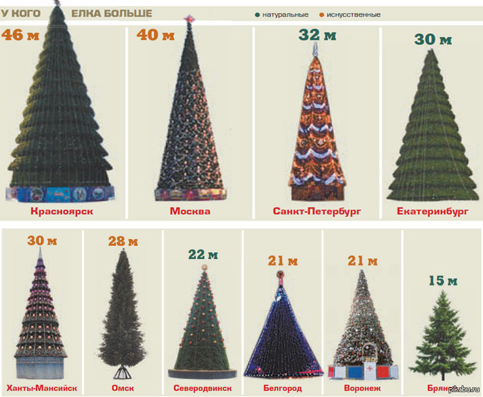 Елка сантиметр. Диаметр елки. Елка средняя размер. Елка Новогодняя Размеры. Диаметр елки на площади.