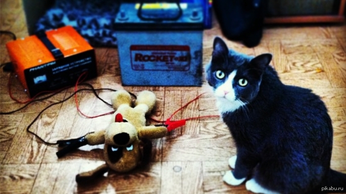 Тебе всё равно никто не поверит...