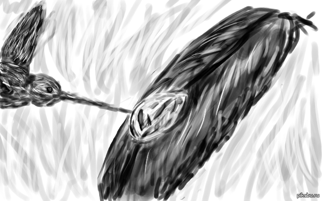 ����� ����������