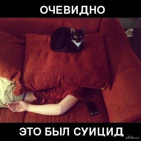  .... 