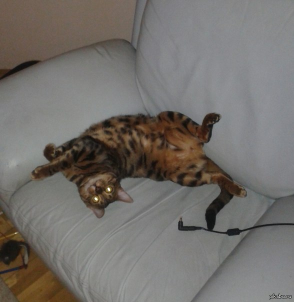 ��� �������� �������