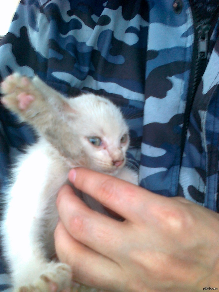 в лигу добра пазязя)