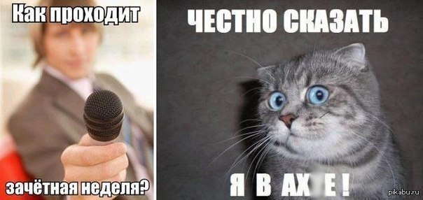 ������� ������ ������������ �����...