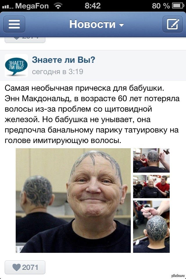 Вот это смело | Пикабу