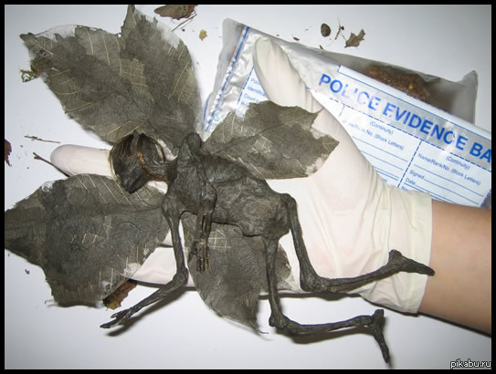 �������� � ����� ��������� � �������� ���������� � �������