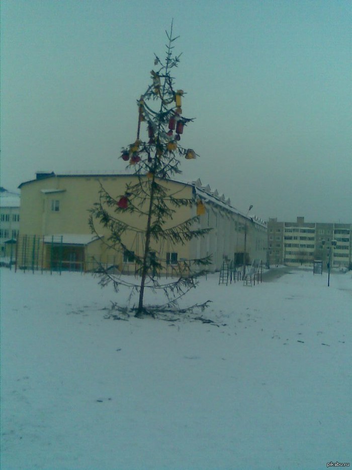 Кто тут жаловался на хреновую елку?