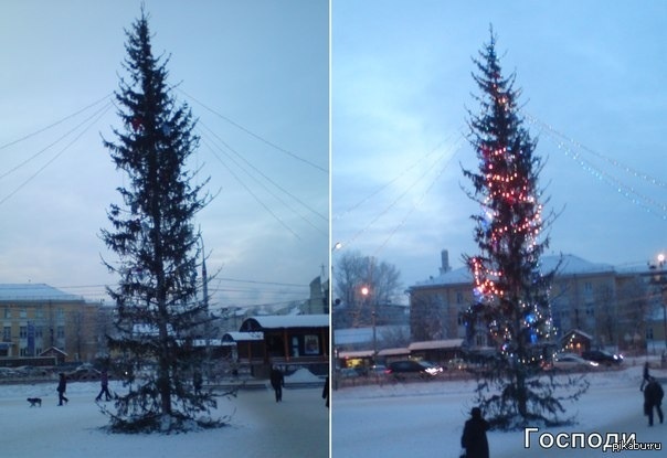 Смешные елки в городах. Плохая Новогодняя елка. Самые смешные елки в городах. Унылая елка.