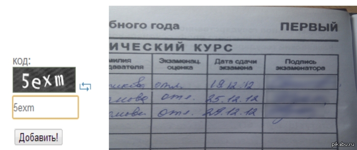 Пикабу что-то знает