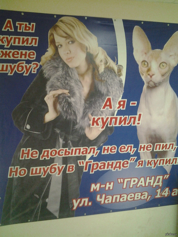 Advertising in Sorochinsk - My, Pictures and photos