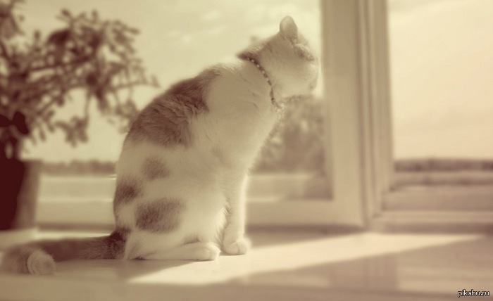 � ��� � ��� ���.