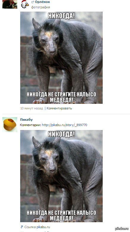 � ��� � ���� �����?