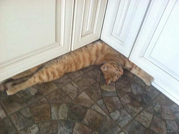 �������.