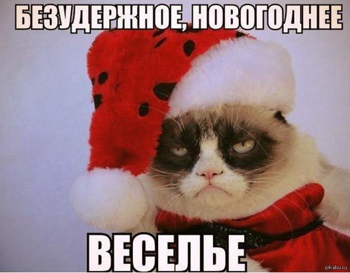 ��� ��� ������� ����� ����� ����))