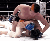 I take this opportunity to say hello. - GIFs