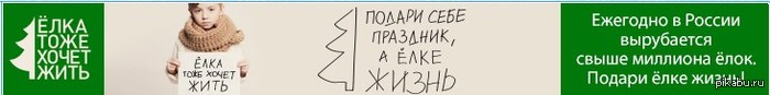 Ежегодно вырубаются миллионы ёлок! Что же делать??? 8-/